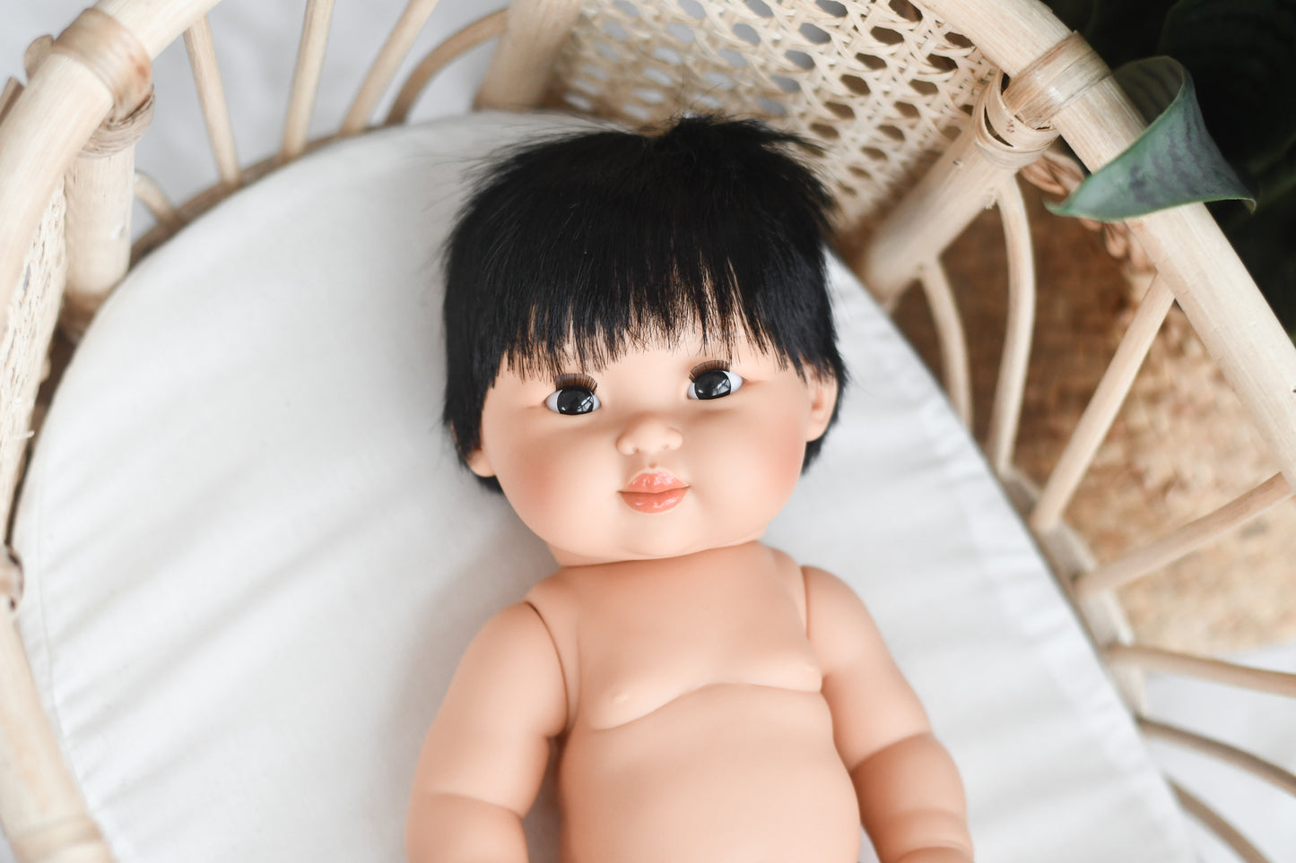 Taro - MC Boy Doll
